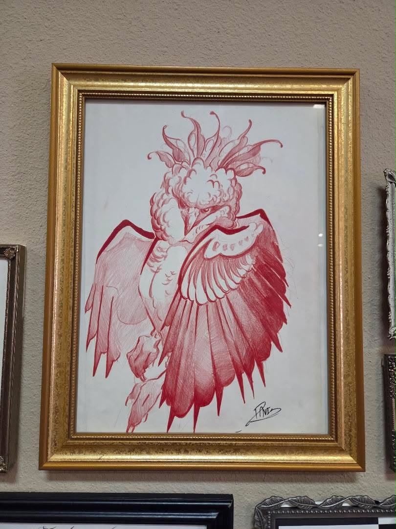 Crimson Crested Bird Sketch