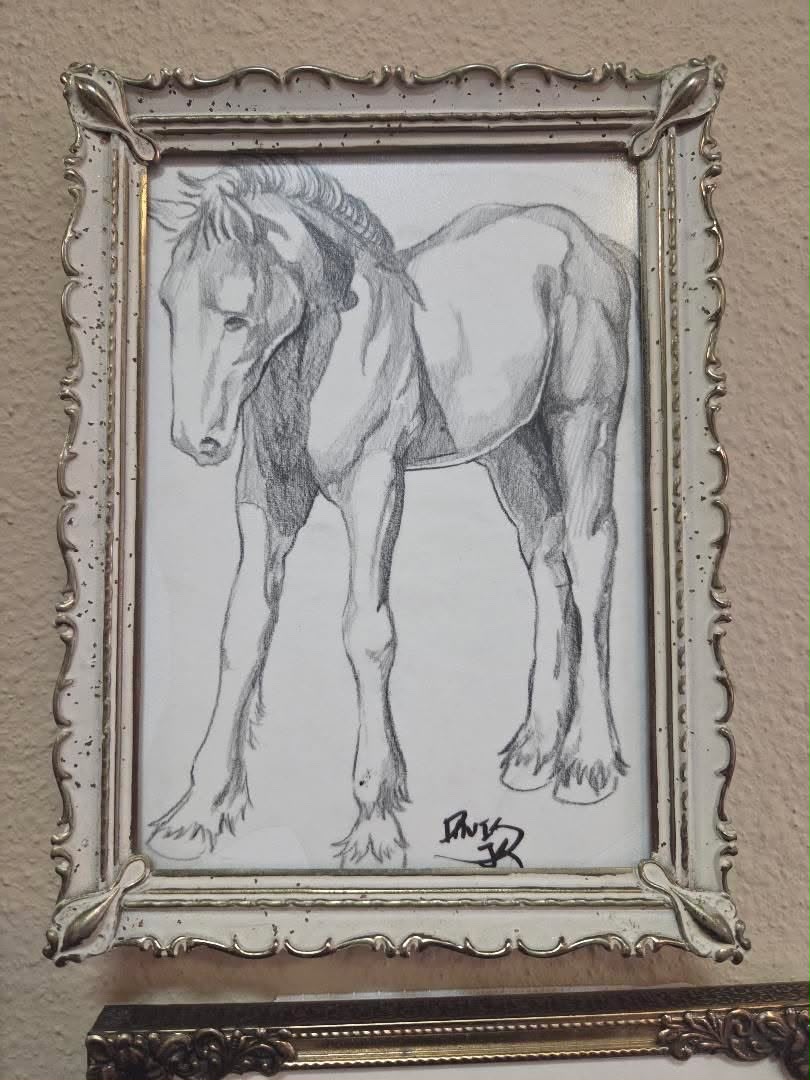 Gentle Foal