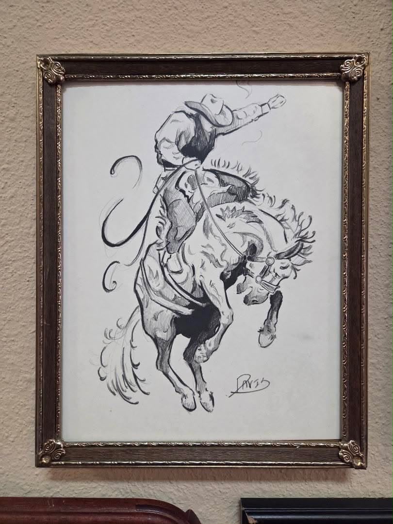 Bucking Bronco
