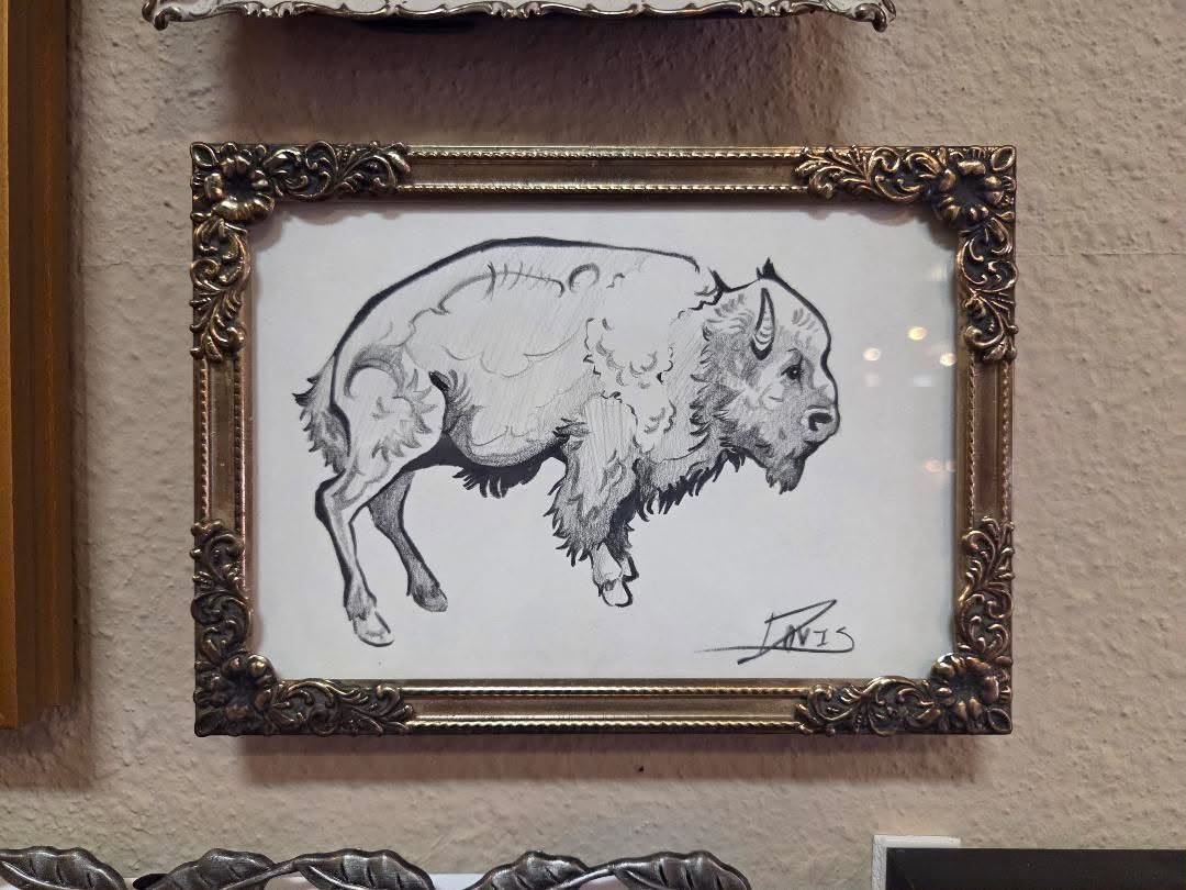 Plains Bison